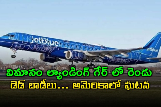 2 bodies found in landing gear of jetblue plane at florida airport