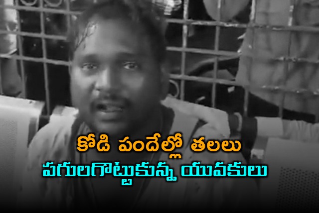 Fight between two villagers in Krishna district Kankipadu in cockfight