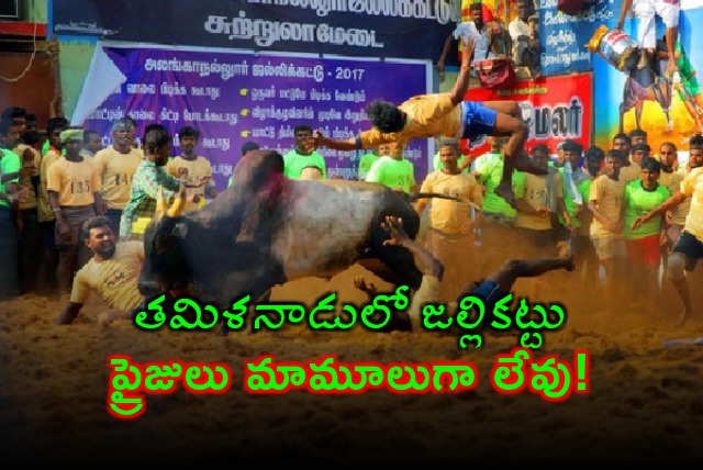 Jalli Kattu kicked off in Tamil Nadu this Pongal 
