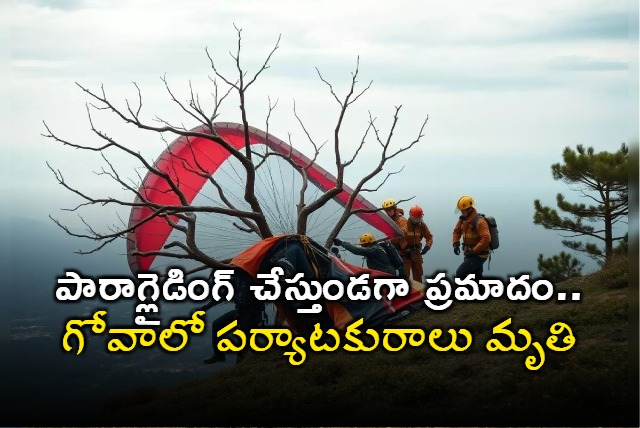 Paragliding Tourist Instructor Killed After Crashing Into Ravine In Goa