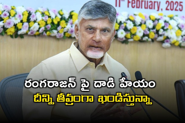 AP CM Chandrababu condemns attack on Chilukuru Temple priest Rangarajan