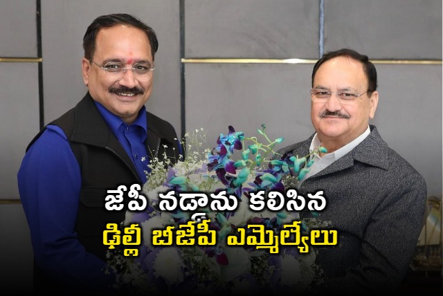 Delhi BJP MLAs meet JP Nadda