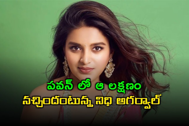 Nidhhi Agerwal Interesting Comments on Pawan Kalyan and Prabhas