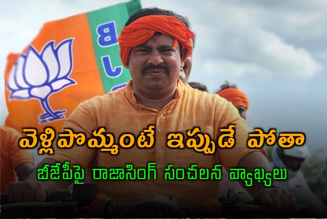 BJP MLA Raja Singh Sensational Comments On Own Party