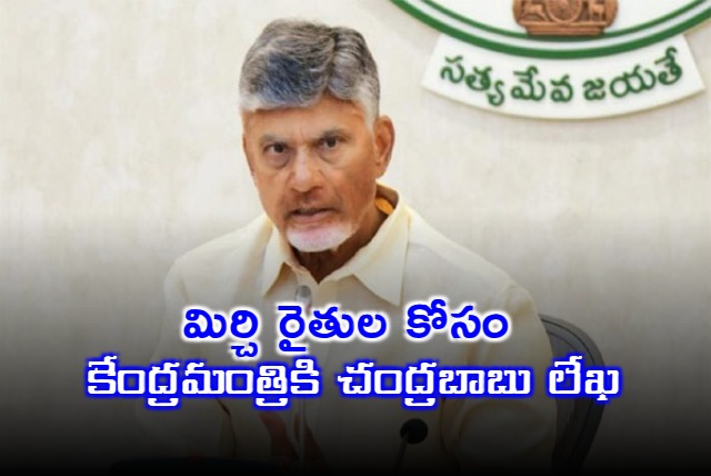 CM Chandrababu Letter to Union Minister For AP Chilli Farmers