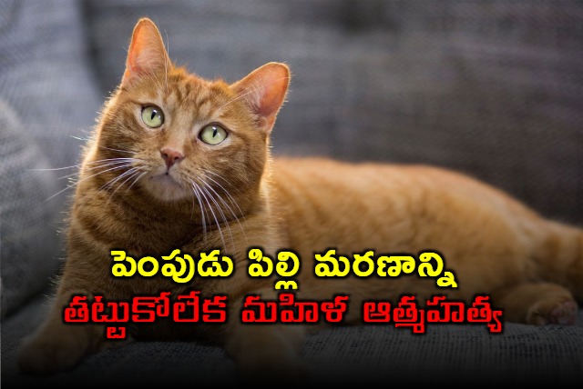 UP woman committed suicide after her died pet dog not return to life