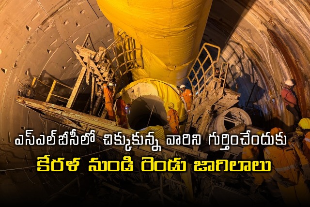 Sniffer dogs trained to trace cadavers flown from Kerala to join rescue ops at Telangana SLBC tunnel