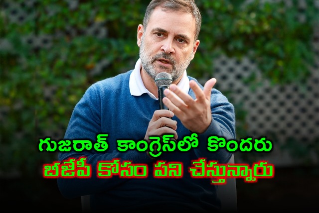 Congress Leader Rahul Gandhi Lashes Out At Congress Party Workers In Gujarat