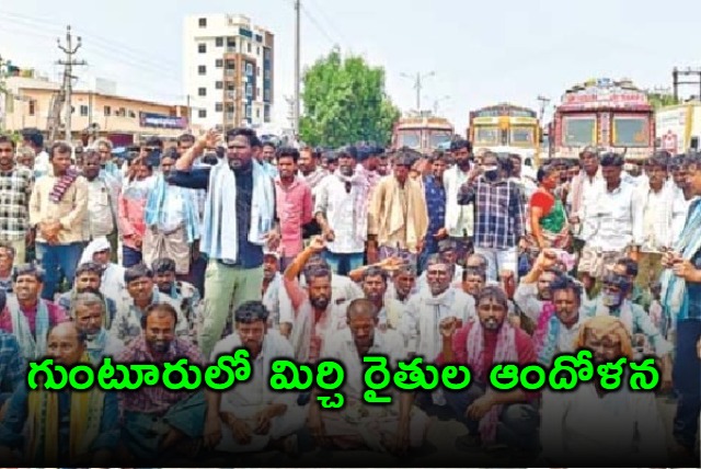 Farmers Protest in Guntur Over Chilli Prices