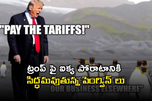 Penguins Unite Against Trump Hilarious Memes Go Viral