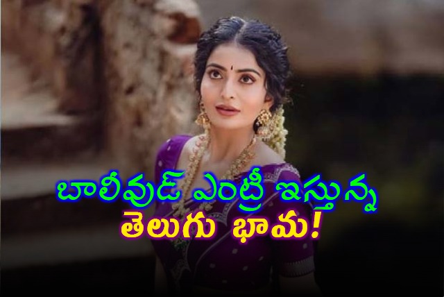 elugu Actress Ananya Nagalla Enters Bollywood