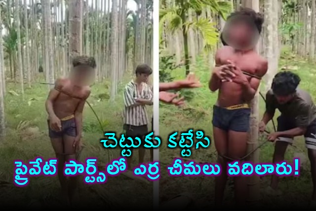Horrific Child Abuse in Karnataka Boy Tied to Tree Ants Placed on Private Parts