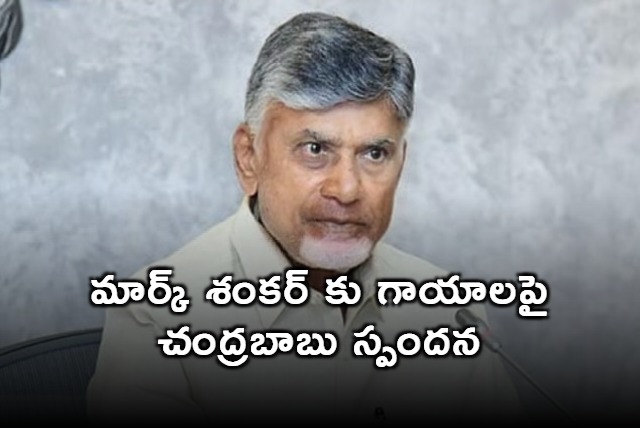 Pawan Kalyans Son Mark Shankar Suffers Injuries in School Fire Chandrababu Naidu Responds
