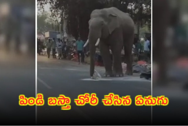 Elephant Steals Wheat Flour at Market in Haridwar