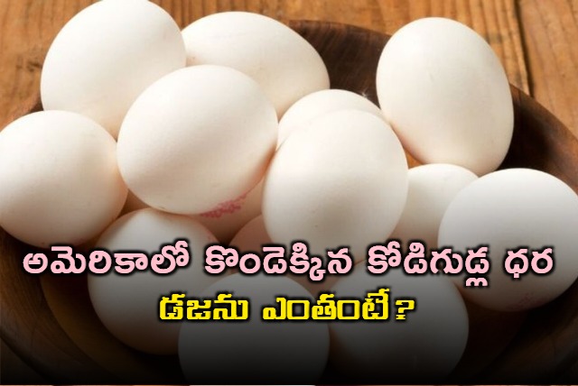US Egg Prices Soar to 623 per Dozen Amid Bird Flu