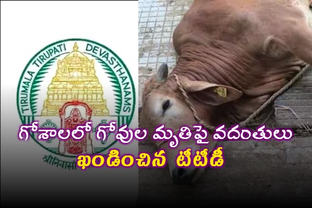 TTD Denies Rumors of Cow Deaths at Gosala