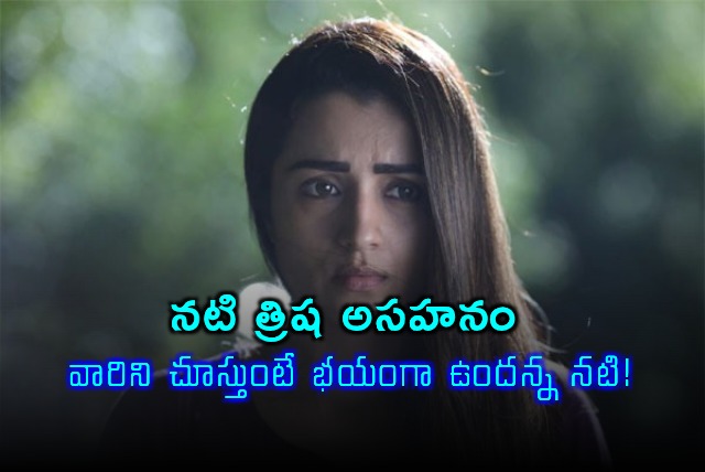 Trisha Expresses Anger Over Social Media Negativity
