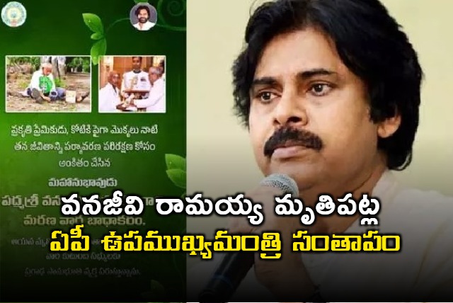 AP Deputy CM Condoles Vanajeevi Ramayyas Death