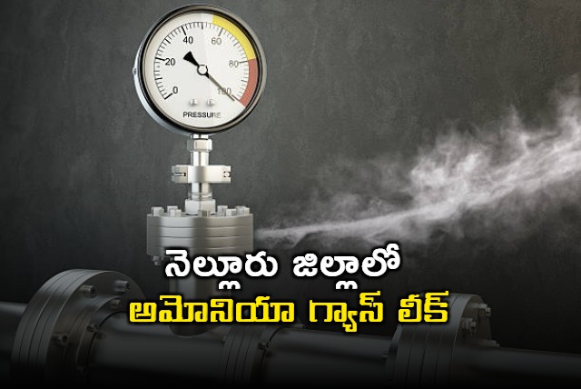 Ammonia Gas Leak in Nellore Causes Panic