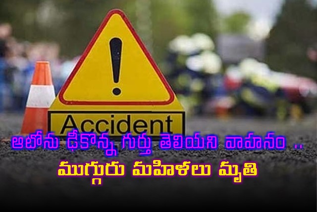 Three Women Killed in Andhra Pradesh Hit and Run