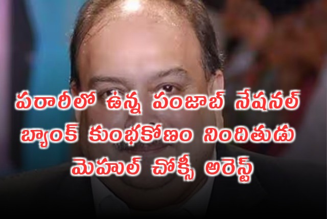 Mehul Choksi Arrested in Belgium PNB Scam Fugitive Apprehended