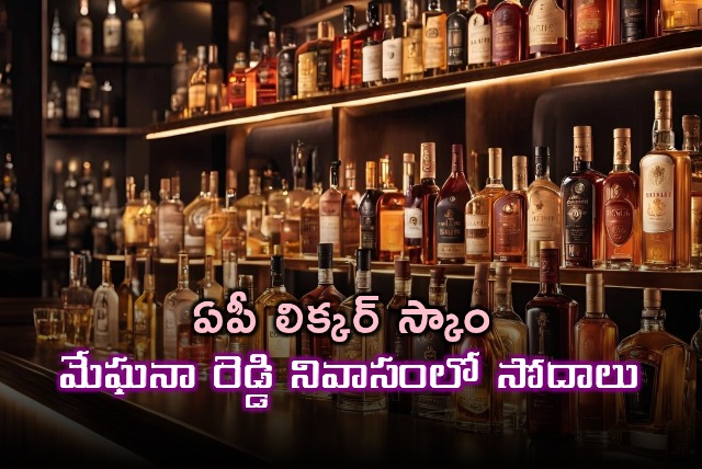 AP Liquor Scam SIT Raids Meghana Reddys Residence