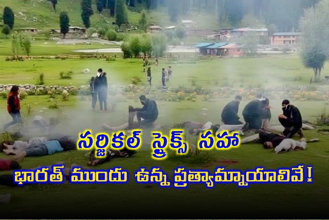 Pahalgham Attack Indias Response Options