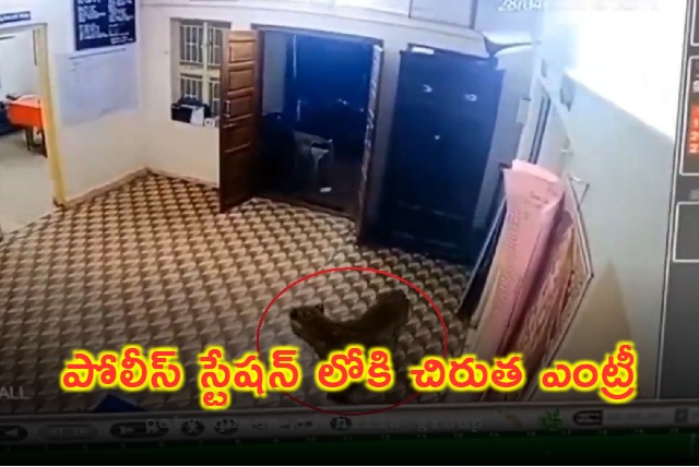 Leopard Enters Tamil Nadu Police Station