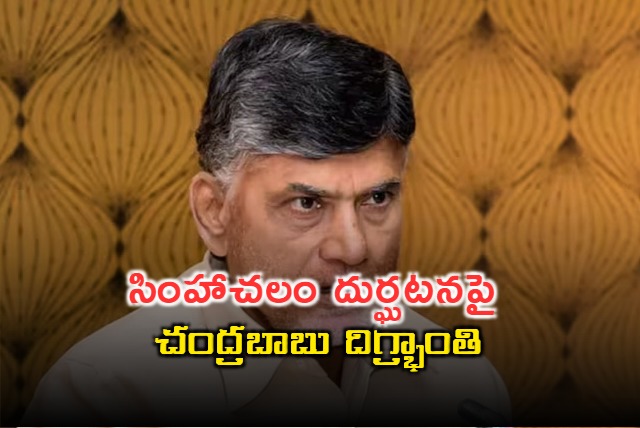 Chandrababu Naidu expresses grief over Simhachalam temple tragedy