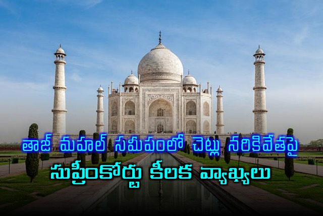 Supreme Courts Key Remarks on Tree Felling Near Taj Mahal