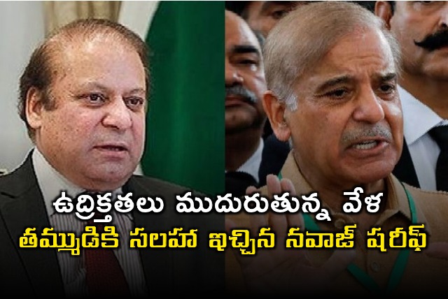Nawaz Sharifs Crucial Advice to Shehbaz Sharif