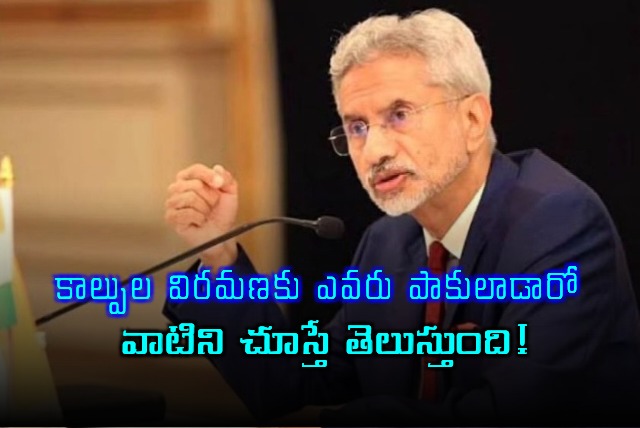 S Jaishankar On Operation Sindoor