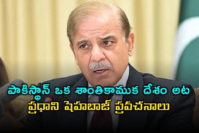 Pakistan PM Shehbaz Sharifs Statement on Peace and Defense