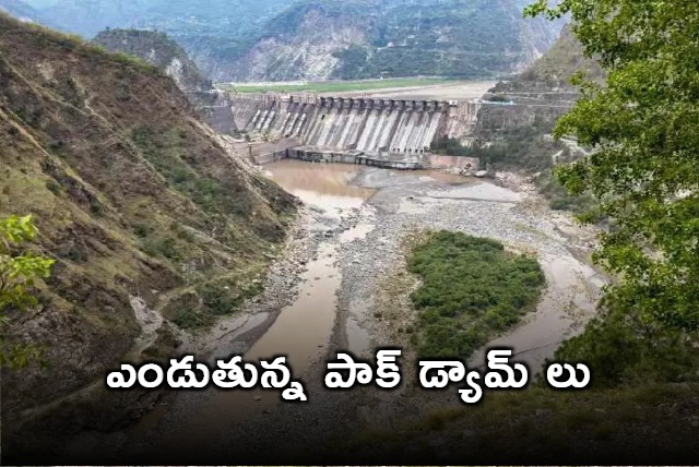 Pakistan Faces Water Shortage as India Halts Indus Waters Treaty