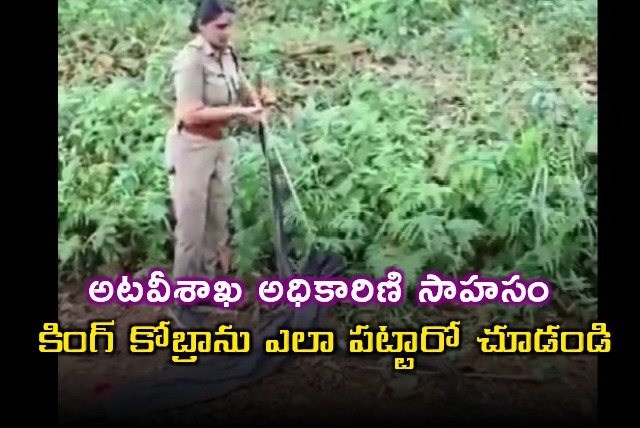 Kerala Woman Forest Officer Rescues Her First King Cobra
