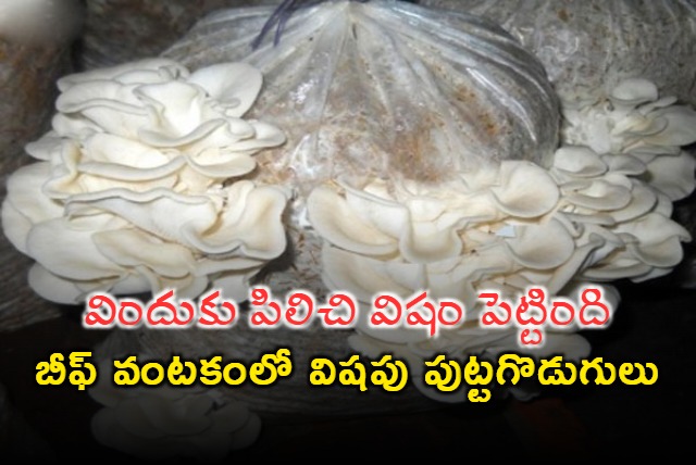 Australian woman found guilty of murdering three family members with poisonous mushrooms