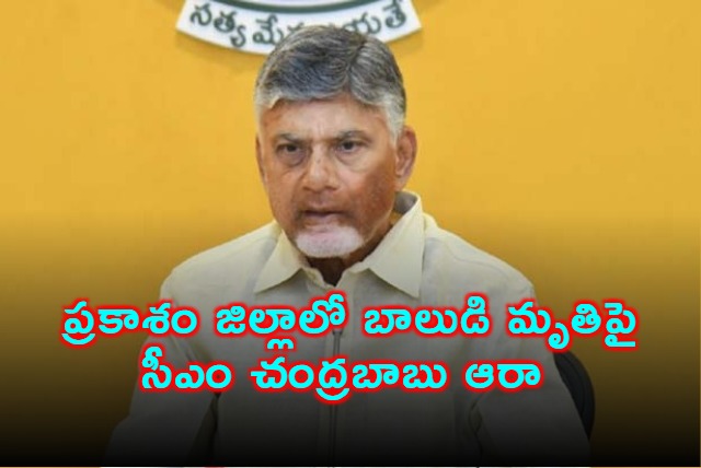 Chandrababu Naidu Inquires About Boys Death in Prakasam District