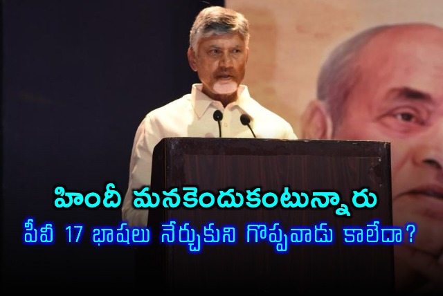 Chandrababu Naidu Why learn Hindi PV became great learning 17 languages