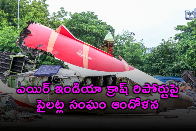 Air India Ahmedabad Crash Pilot Error Concerns Raised