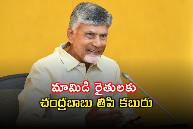 Chandrababu Naidu Announces Rs 260 Crore for Mango Farmers