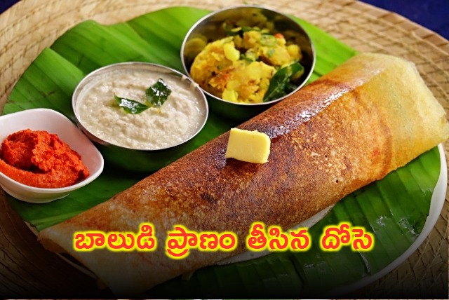 2 Year Old Boy Dies in Anantapur After Choking on Dosa