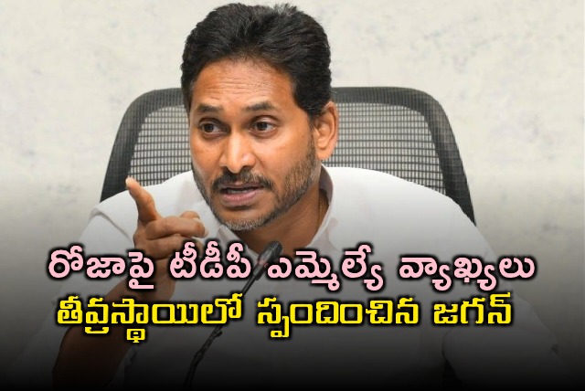 Jagan Reacts to TDP MLA Comments on Roja