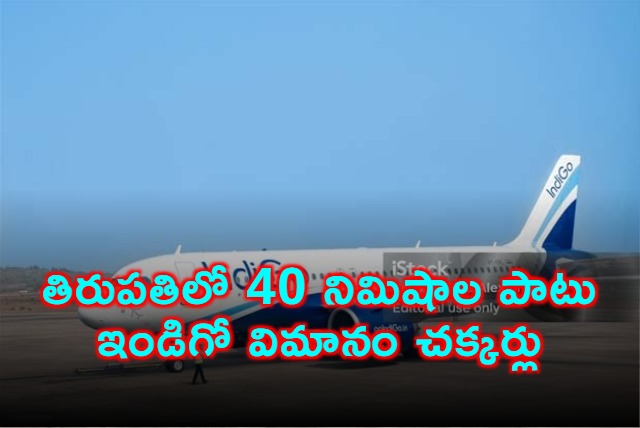 Indigo Flight Makes Emergency Landing at Tirupati After Technical Issue