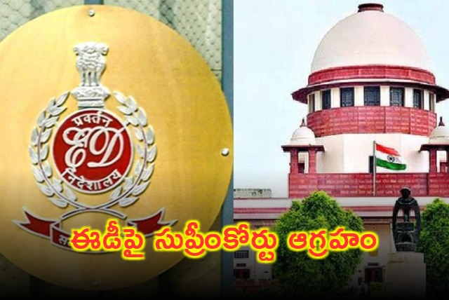 ED Petition Dismissed by Supreme Court in Land Case