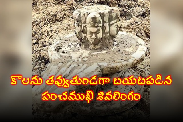 Panchmukhi Shivalinga Found While Digging Pond in UP