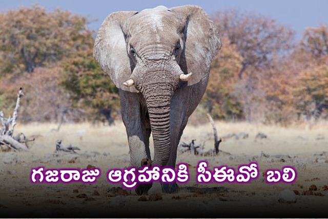 Gondwana Game Reserve CEO killed in elephant attack