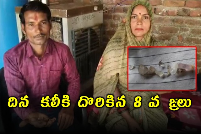 Daily Wage Worker Finds 8 Diamonds in Madhya Pradesh
