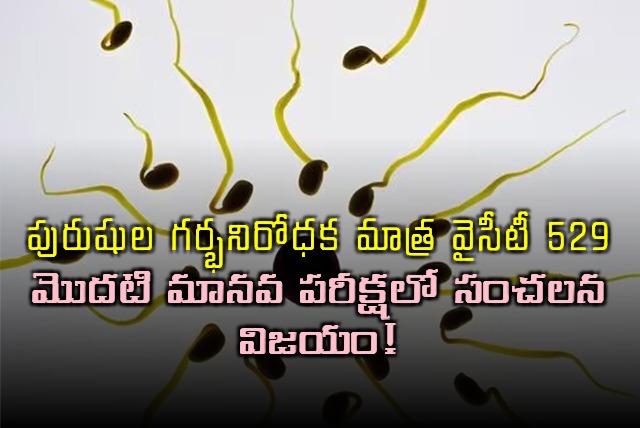 YCT 529 Male Contraceptive Pill Successful in Human Trial