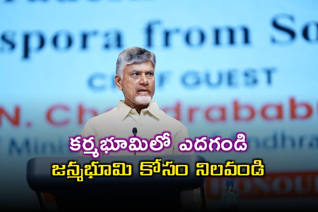 Chandrababu Naidu urges Telugu diaspora to develop their homeland