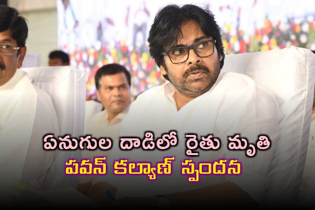 Pawan Kalyan Reacts to Farmer Death in Elephant Attack in Chittoor